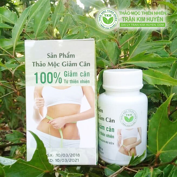 Thao Moc Giam Can Tran Kim Huyen Thao Moc Giam Can Tran Kim Huyen